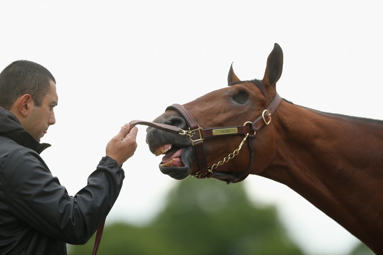 Image: 143rd Kentucky Derby - Previews