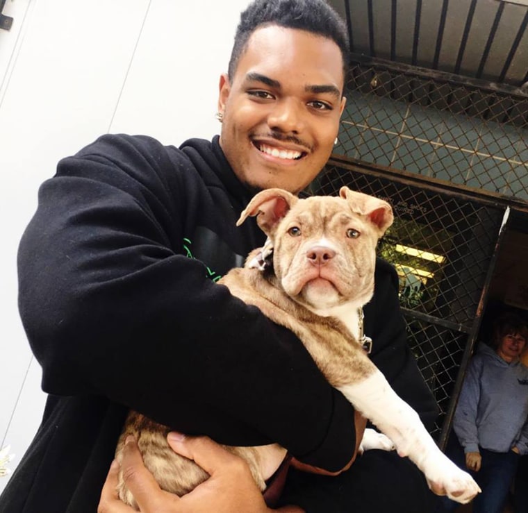Ronnie Stanley, an offensive tackle for the Baltimore Ravens, adopted a dog