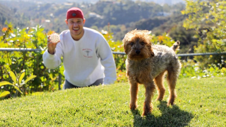 Nick Lachey plays outside with his dog, Wookie.