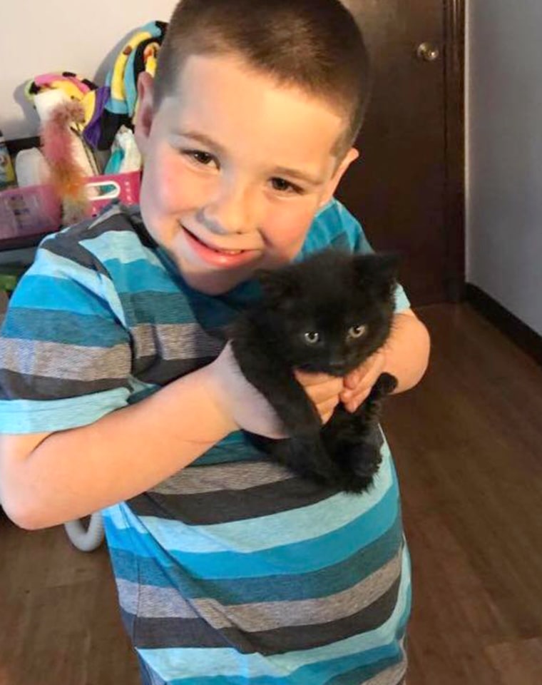 kitten season foster adoption tips