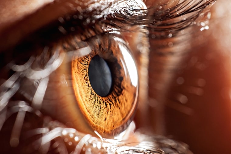 Closeup of the human eye.