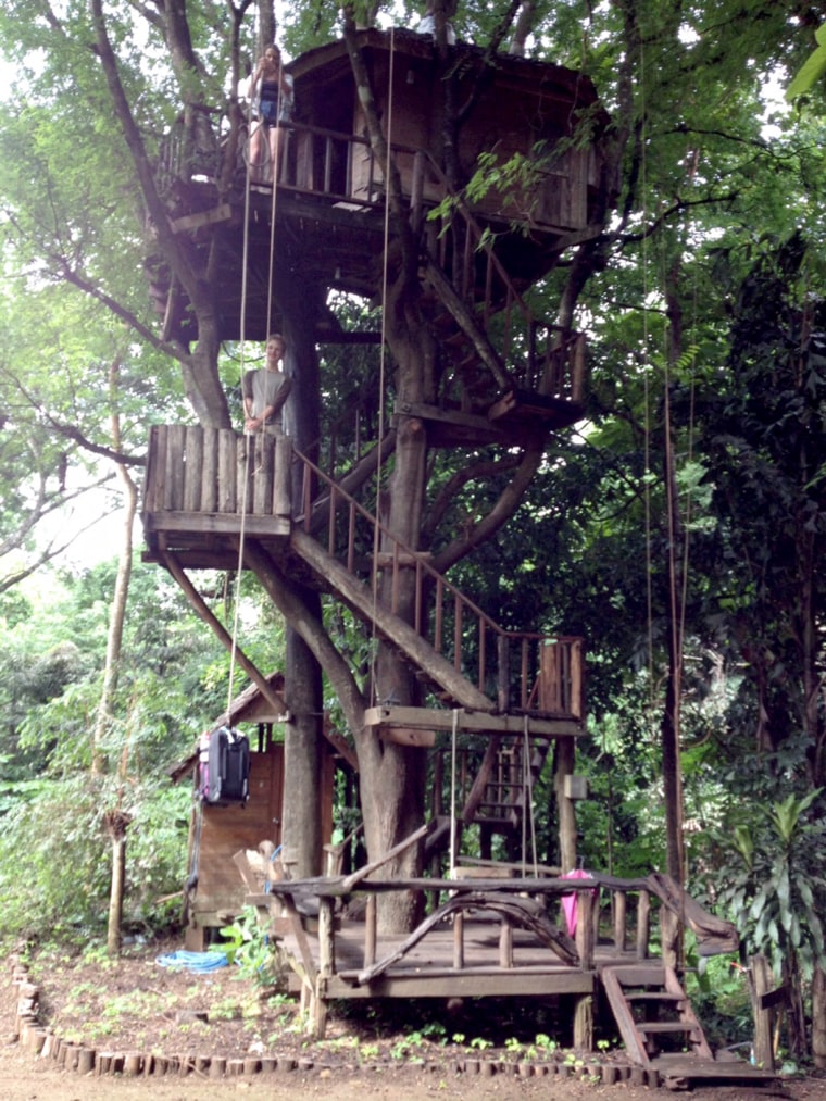 Image: Treehouse