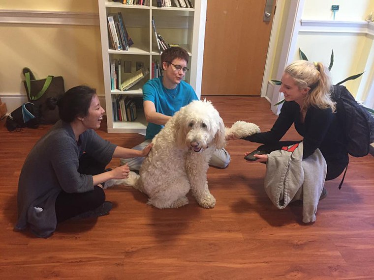 Students bond with a dog in Carnegie Mellon's Mindfulness Room.