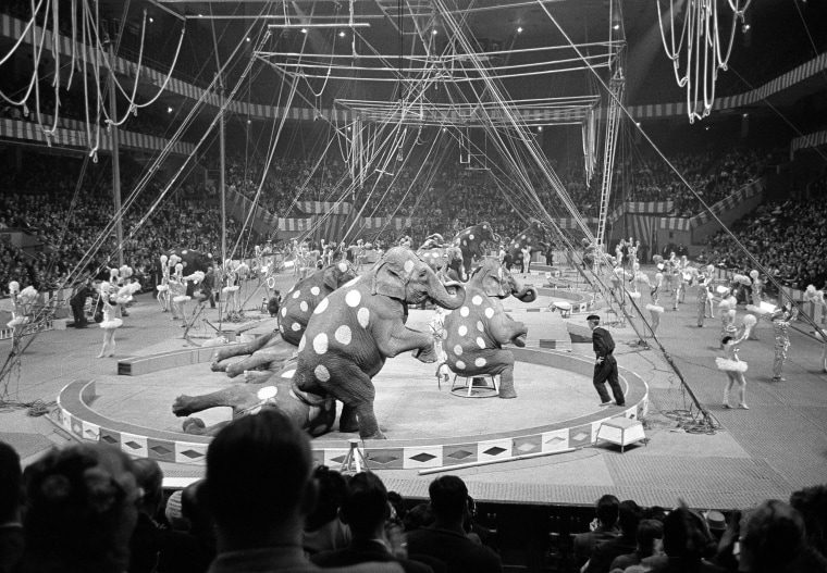 Image: Elephants and dancers go through their paces in opening stages of first night of the Ringling Brothers