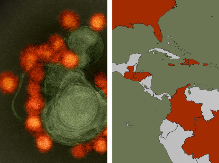 Image: The spread of the Zika virus