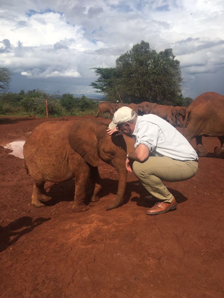 Harry Smith pets an orphaned calf at the David Sheldrick Wildlife Trust Elephant Orphanage outside Nairobi, Kenya.