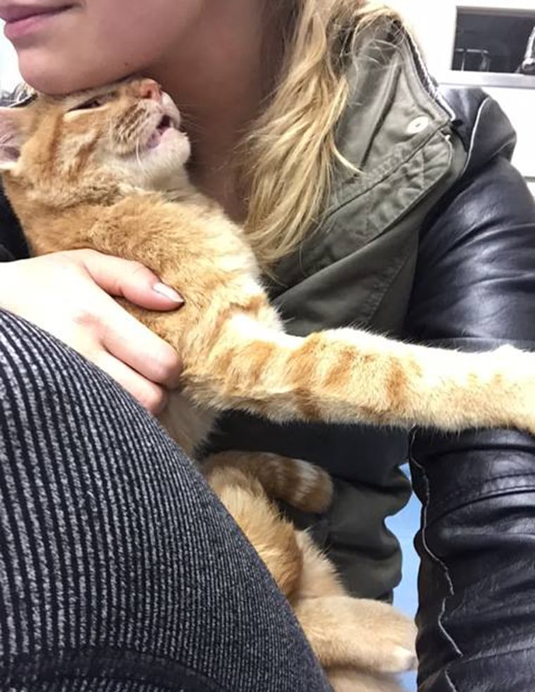 Hiro still loves and trust humans, even after what he's endured.
