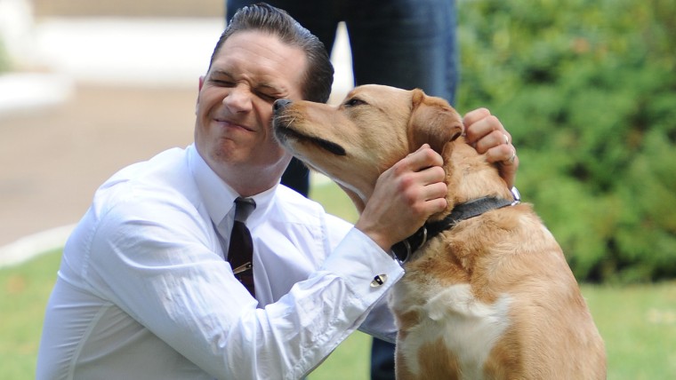 Tom Hardy and his dog off set during the filming of 'Legend'