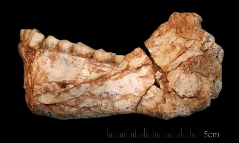 Image: Oldest Homo Sapiens fossils found in Morocco