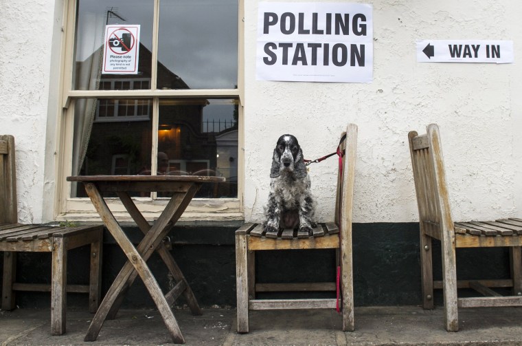 Image: British General election voting