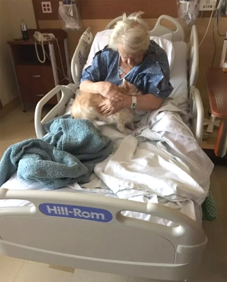 Woman smuggles dog into hospital to visit sick grandma
