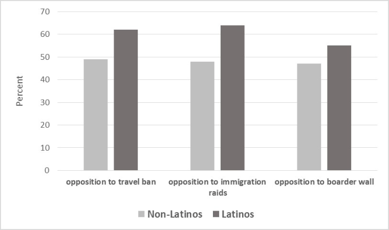 Graph: Opposition to Minority Related Policies