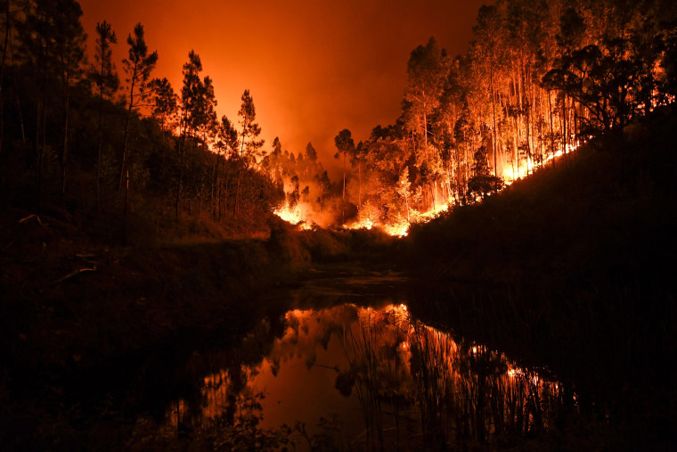 Image: PORTUGAL-FIRE