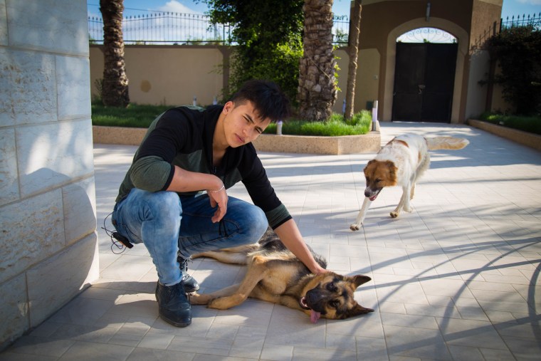 Image: Atayeb Odeh with his dogs Liza and Rex