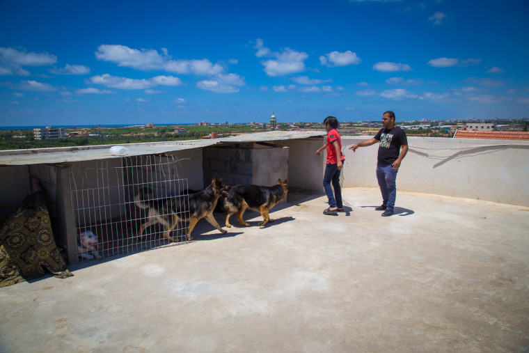 Image: Mouin al-Awad, right, keeps his dogs on the roof of a friend's building