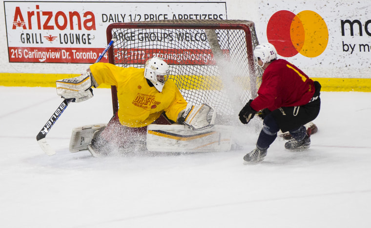 Hockey players of Chinese descent practice during a training camp for China's national hockey team hosted in Toronto.