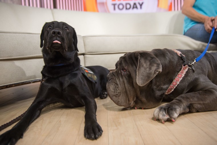 Charlie meets Martha, the winner of this year's Ugliest Dog Contest.