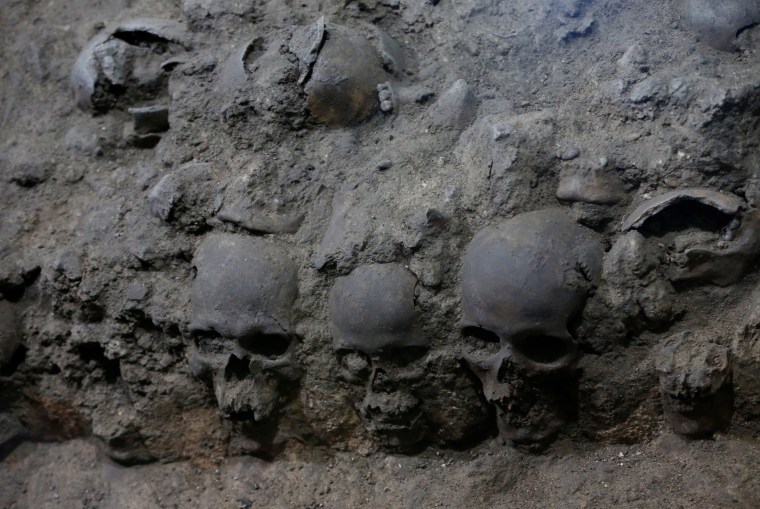 Image: Skulls are seen at a site near Templo Mayor, one of the main temples in the Aztec capital Tenochtitlan, which later became Mexico City