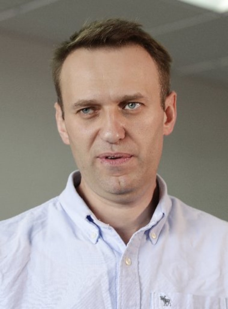 Alexei Navalny, Russian Opposition Leader, Released From Prison