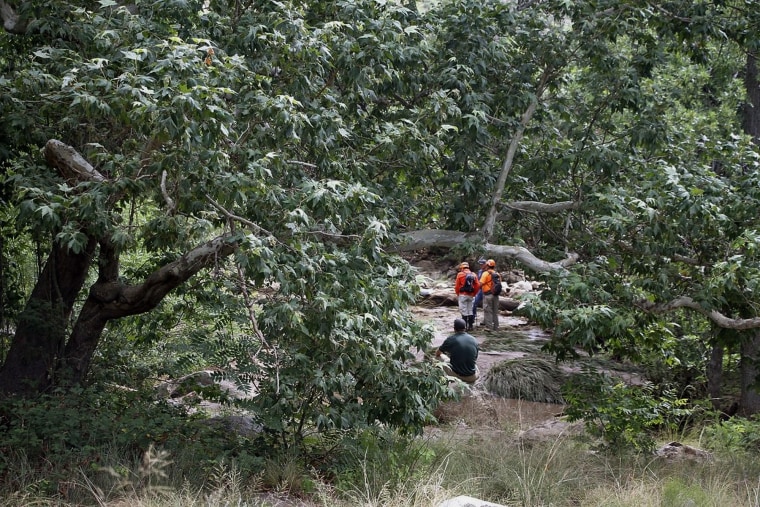 IMAGE: Tonto National Forest search