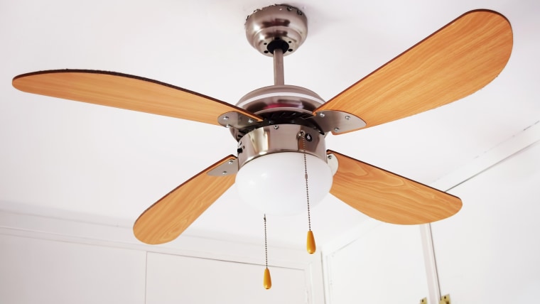 Ceiling fan