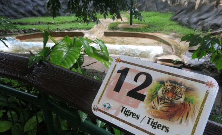 In this July 7, 2017 photo, a tiger named "Angel," who recently died at the Dr. Juan A. Rivero Zoo, still has his sign outside his enclosure in Mayaguez, Puerto Rico.