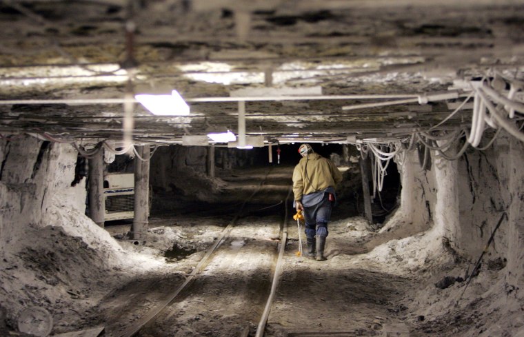 Image: Miner Story