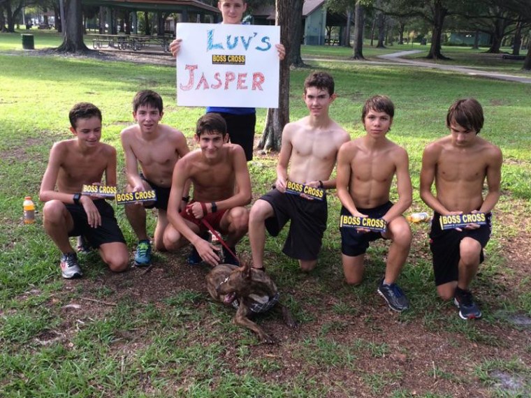 Florida track team takes shelter dogs on runs