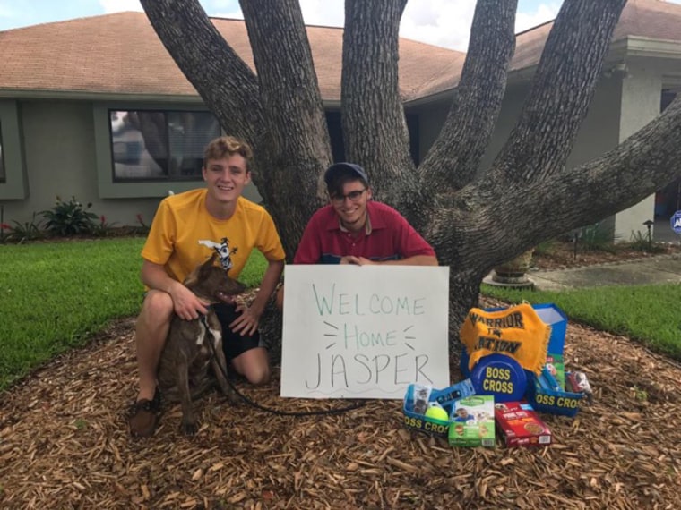 Florida track team takes shelter dogs on runs