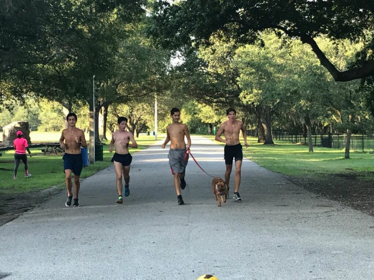 Florida track team takes shelter dogs on runs