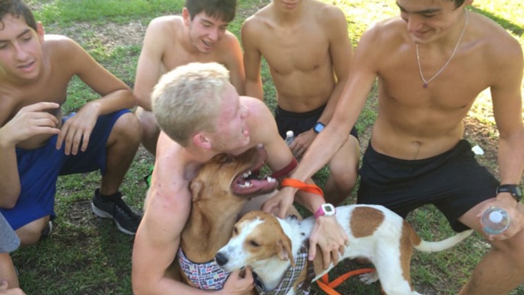 Florida track team take shelter dogs out for runs