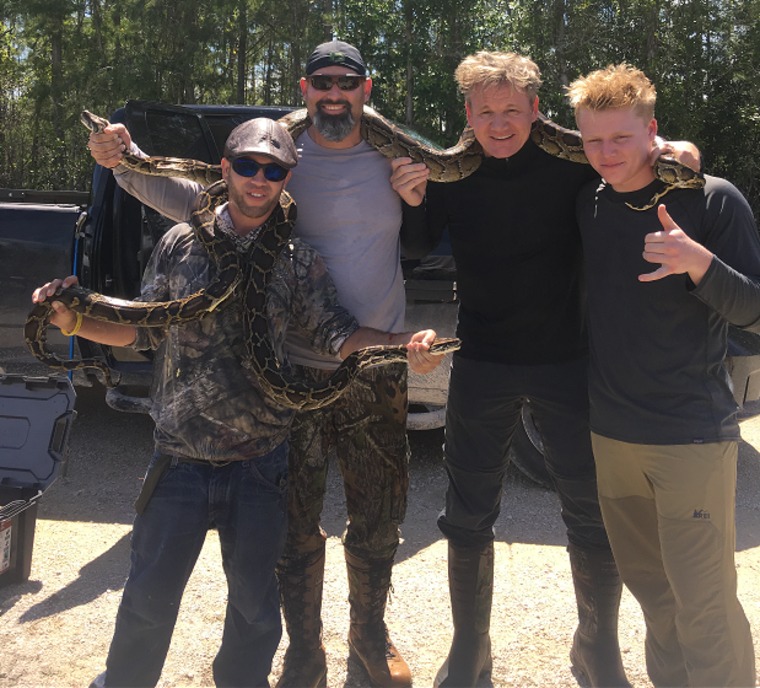 Celebrity chef Gordon Ramsay and his son, Jack, (right), pose with python hunters Kyle Penniston and Jason Catarineau and two of the three Burmese pythons they killed.