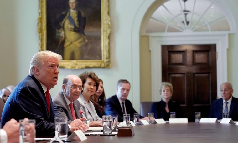 Image: U.S. President Donald Trump speaks during a cabinet meeting