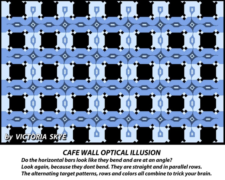 The latest viral optical illusion!
