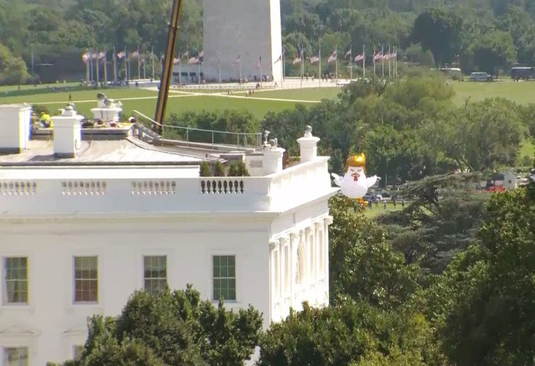 Image: A giant inflatable chicken next to the White House