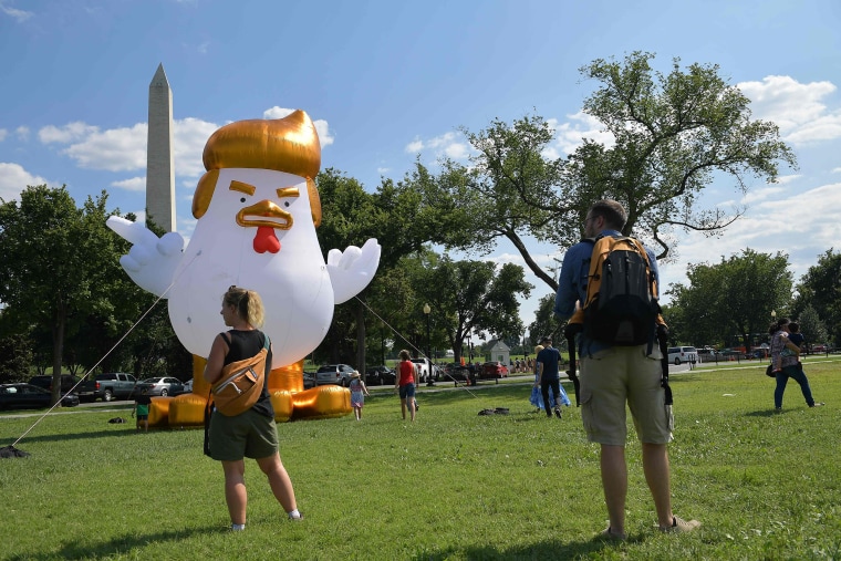 Image: An inflatable chicken mimicking President Donald Trump is set up on The Ellipse