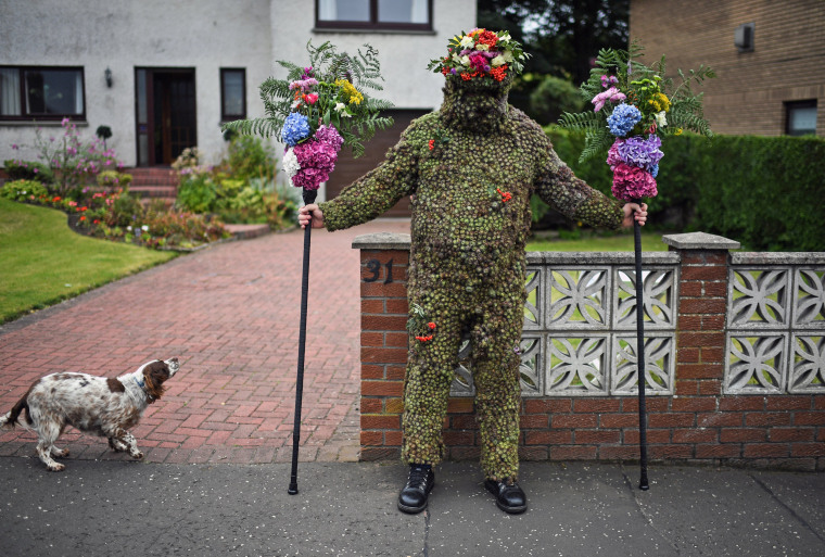 Image: Burdock Covered Burry Man Brings Luck To Scottish Town
