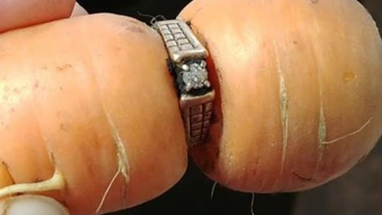 An 84-year-old Canadian widow got her missing engagement ring back after her daughter-in-law found it in a garden, wrapped around a carrot. 