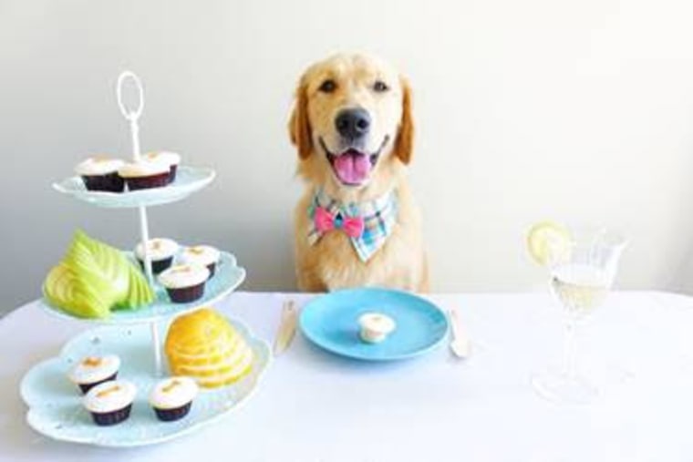 Pupcakes