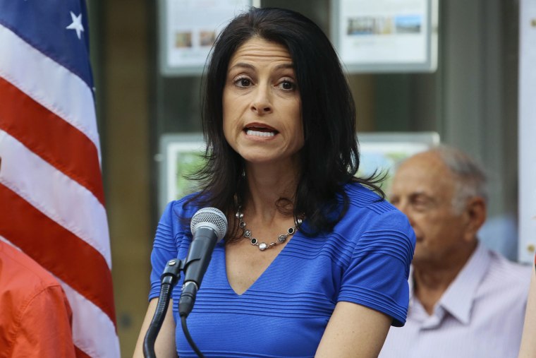 Image: Dana Nessel announces her decision to run for Michigan Attorney General