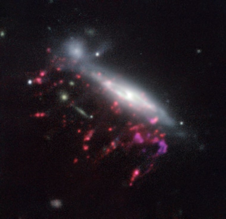 A jellyfish galaxy like this, called JO204 and imaged with ESO's Very Large Telescope in Chile, may have helped crack the mystery of what feeds supermassive black holes.