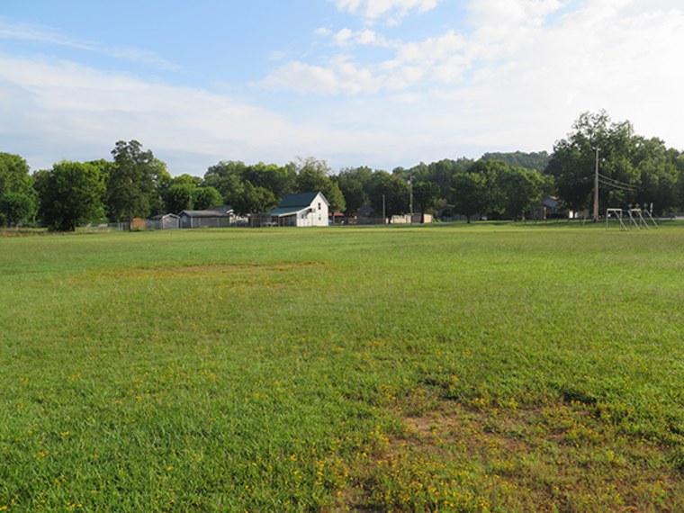 Veteran's Park, one of two designated viewing sites, will host national and international visitors in the spot where the town's 4th of July pickle eating contest and duck races are held.