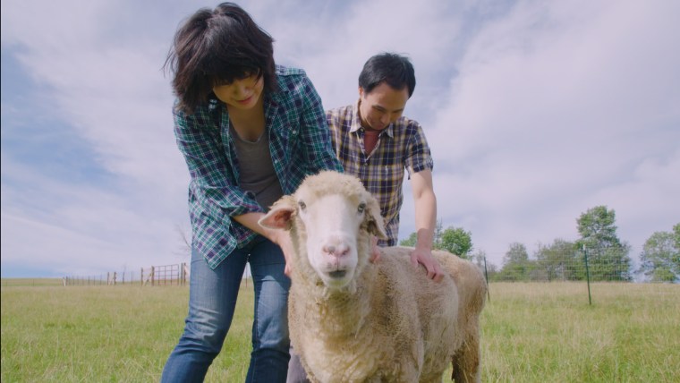 The couple spent the morning cleaning the barn to give some happy sheep a clean home.