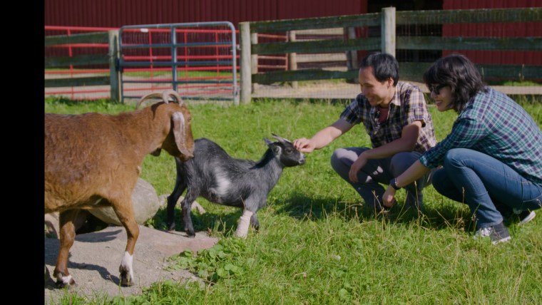 Being with animals causes a release of oxytocin, a neurohormone that makes you feel happy and triggers a relaxation response.