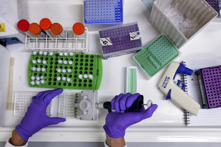 Image: A scientist prepares protein samples for analysis in a lab