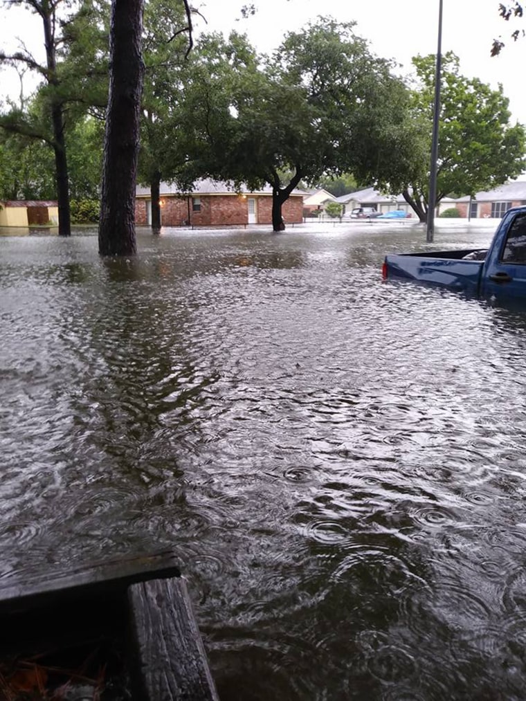 Hurricane Harvey: Betty Walter wouldn't evacuate without her 20 dogs