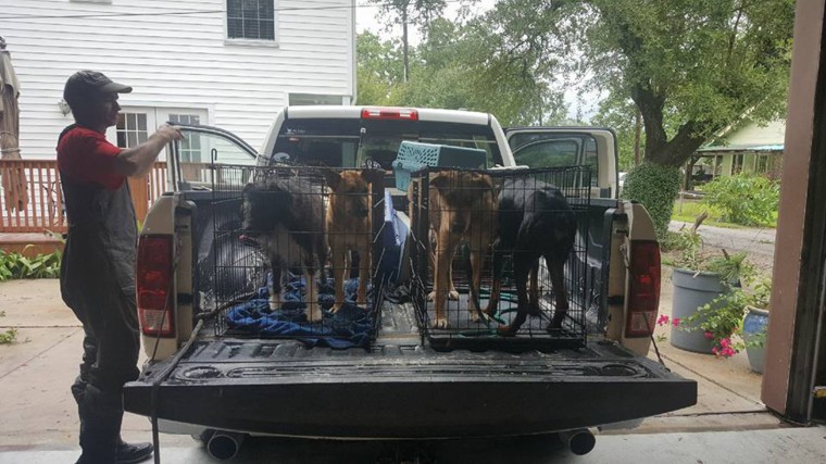 Betty Walter and her dogs were rescued during Hurricane Harvey