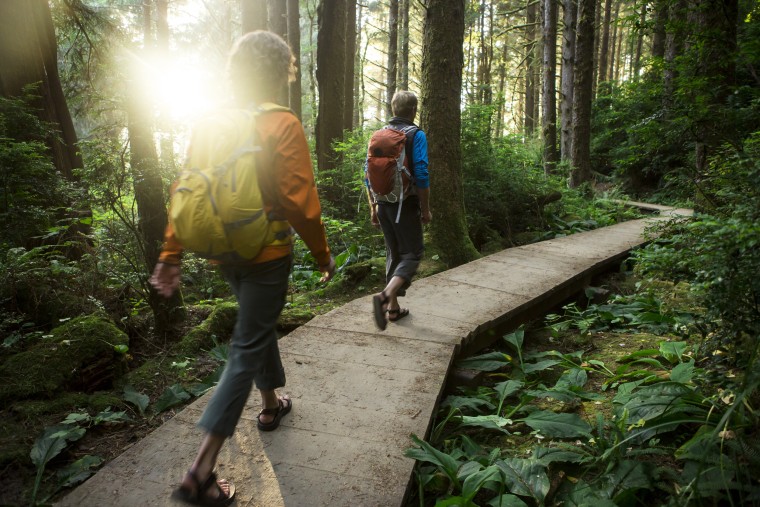 Image: Two people hike through Redwood forest