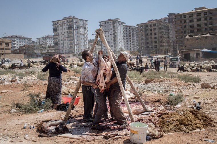 Image: Men hang a sacrificial sheep up after it was slaughtered during Eid al-Adha celebrations