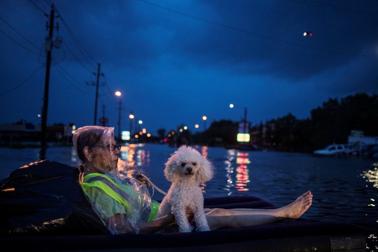 Image: A woman and her poodle wait to be rescued while floating on an air mattress in floodwaters from Tropical Storm Harvey